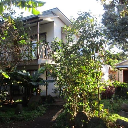 Hostal Marari Hanga Roa Zewnętrze zdjęcie